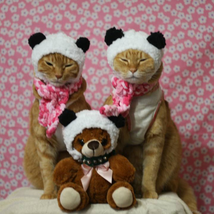 0603449c ccfb 44a9 8969 9b18d89ed799 1515770638514