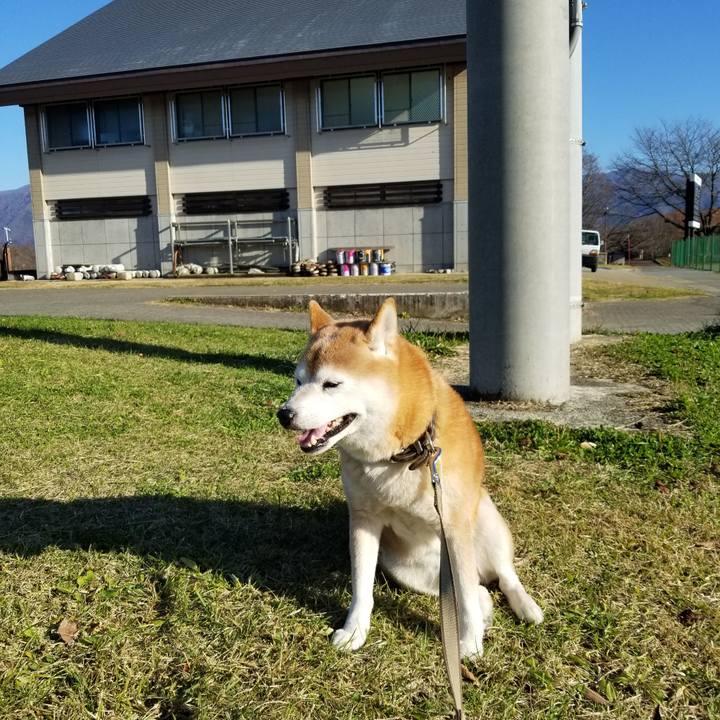 0603551d cf0d 424f 971d 1ae533f82bb3 1669352585395