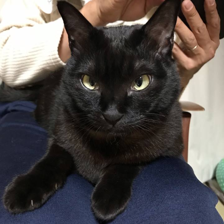 06038739 3359 4d77 ba3a 9d6b6f8afee9 1547127728077