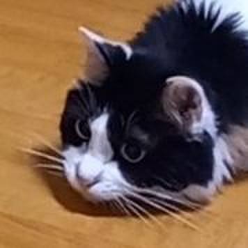 0603a732 0d8d 437c bbd9 600bd5ecfe65 1688216821578