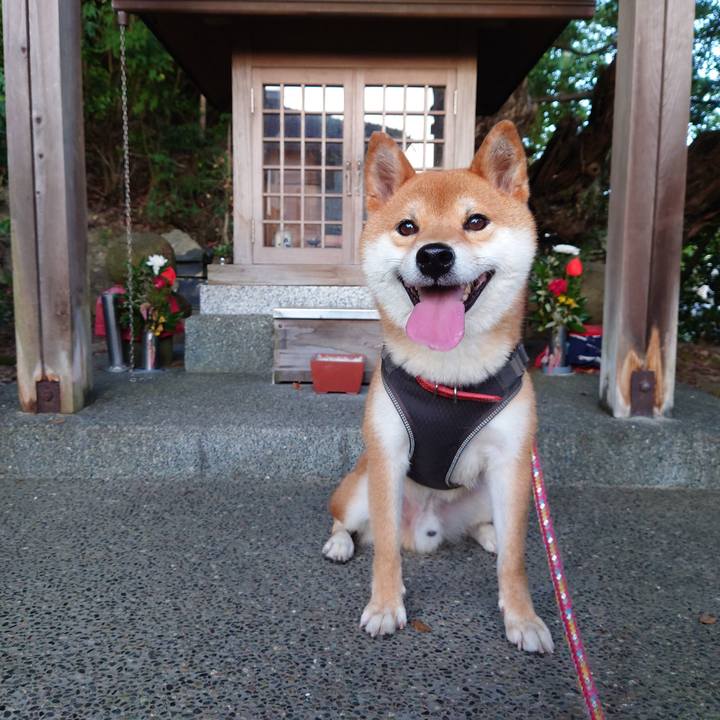 0603bdf7 5d29 4067 954c 18de62d01d35 1755817518063