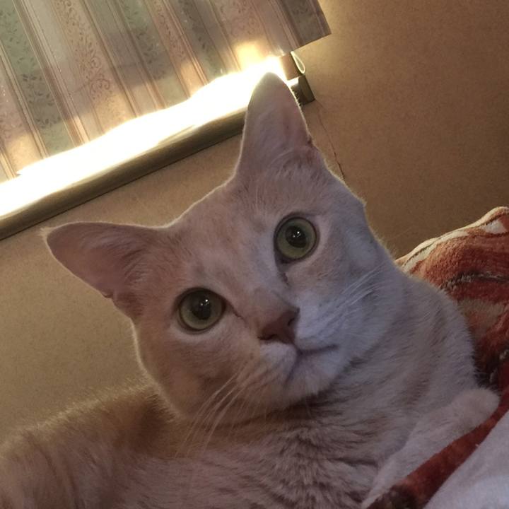 0603d26f 3a85 4c57 bea2 623c78d70698 1543012055705