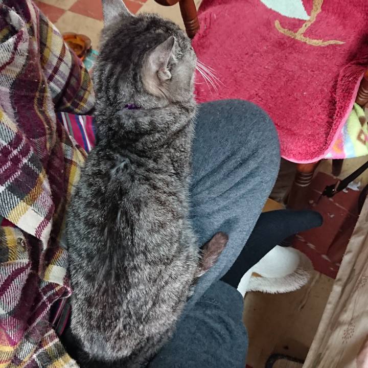 0603d6ac ef46 4be4 8d34 96dc07db4369 1581222223959