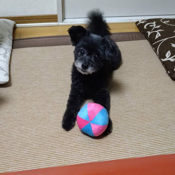 0603eb77 a48a 469b ae93 7671499af0c4 1664790911240