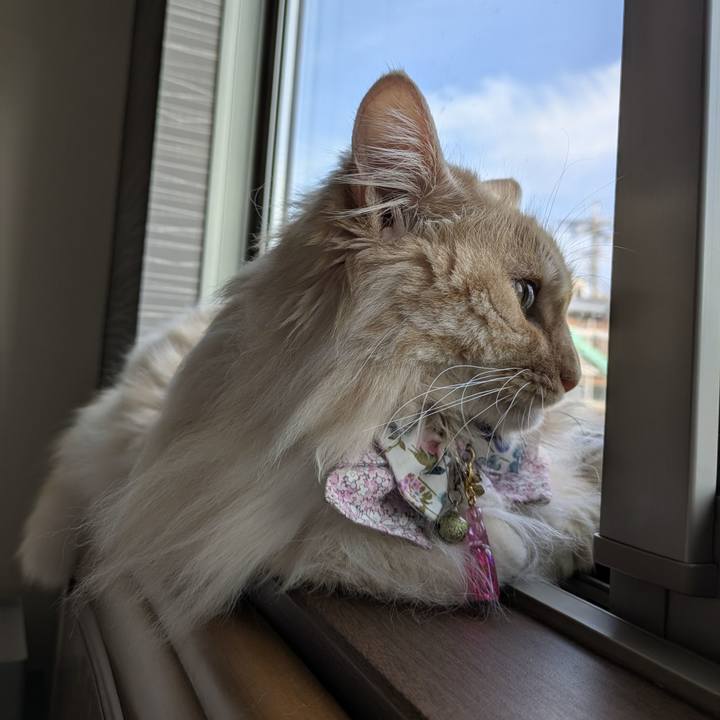 0603edcf 8cad 4e70 8194 e6acb147e741 1751070017151