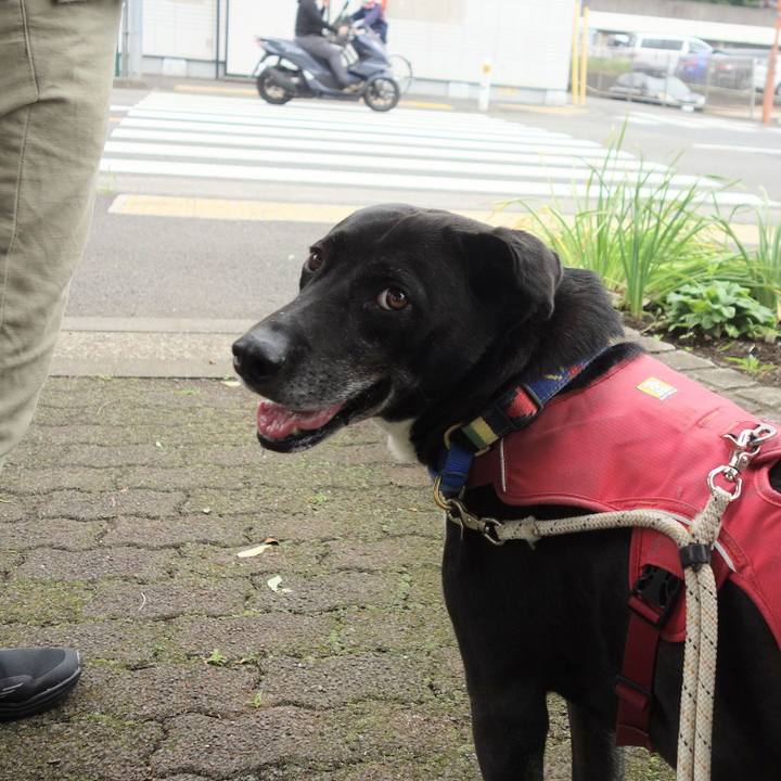 06041d5d 64b2 4b44 81a2 5dc96d2a9fbe 1685494176336