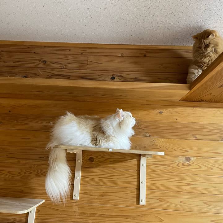 06042692 286e 45be be5d 4f47026648ca 1770457016886