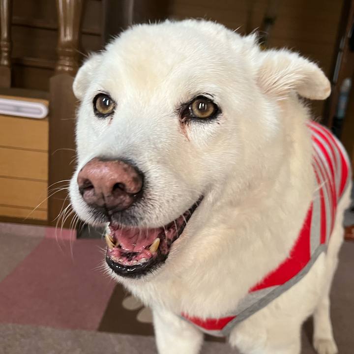 060441ce 21a2 4d79 9374 6b6f8e83c288 1761354363150