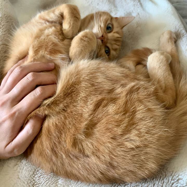 06044887 64a5 4ab1 9f07 3f253c8e8f37 1667435474319