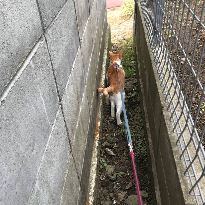 060457ec 1b50 4176 b266 85c7d280e56d 1516159779695