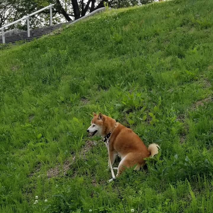 06046bb6 c420 417e b6db 99c1d15c0b89 1623399354972