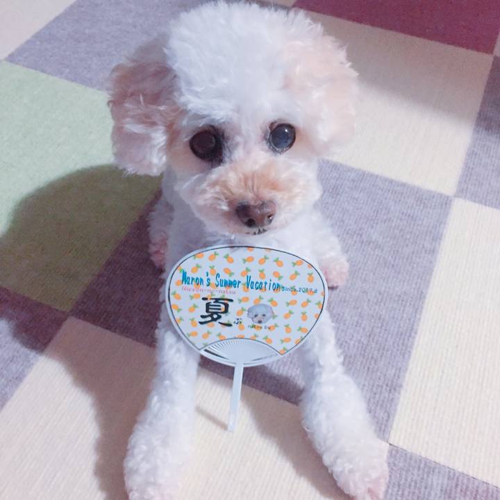 06046f9f ea18 4ff0 8c37 3ae44e9ad349 1532990924172