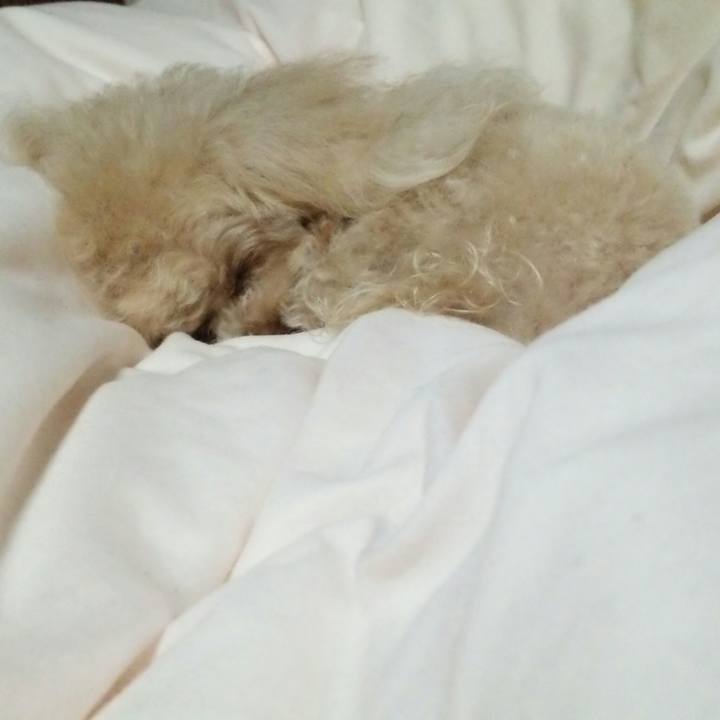 06047b8c b757 4129 b819 b57e999b9e73 1526822718073