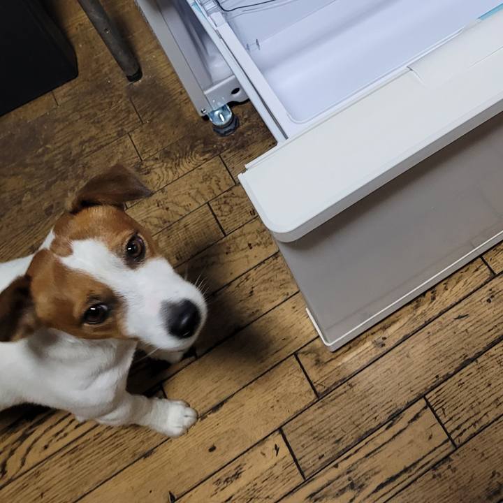 06049136 2eb7 4f66 9f24 3486d82d08d6 1699918168880