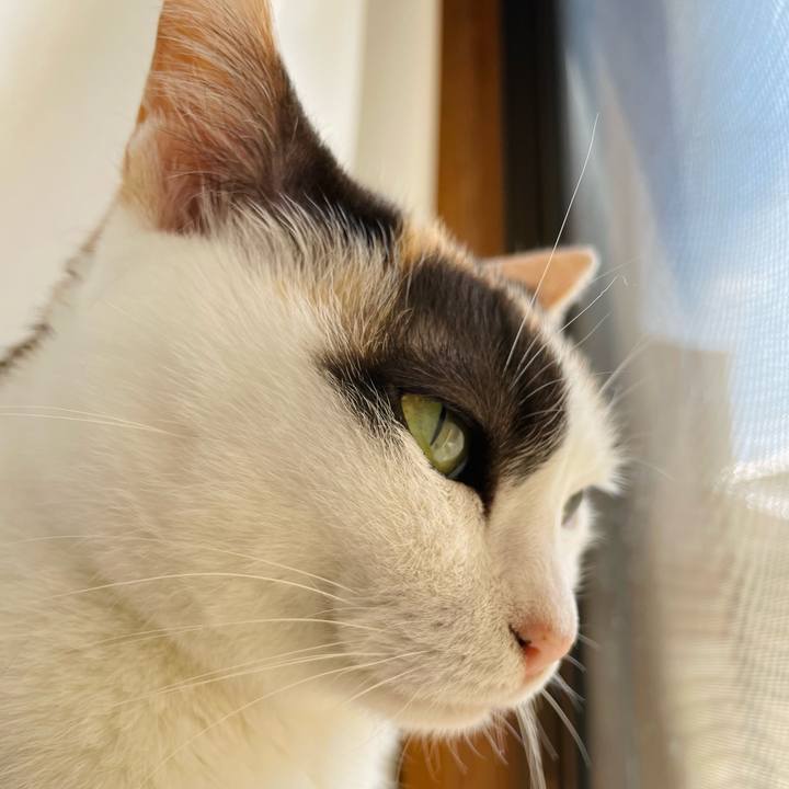 0604ad13 6795 4e4c 9170 240ed9ab18af 1654913618746