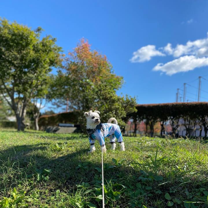 0604d68e f9b6 4d6d 908f 638ef3b65e9d 1603602520897