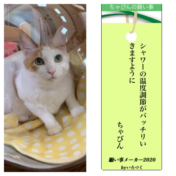 0604e7c4 9212 490c 913d 9f221502c705 1594093106846