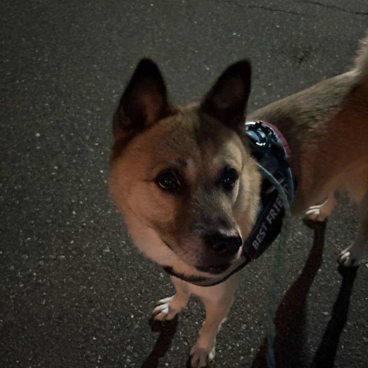 06050276 4648 4799 995f 101002e96972 1760705248128