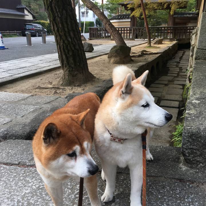 060544a6 8c43 4b64 9026 060af1a4e2ea 1522970327879