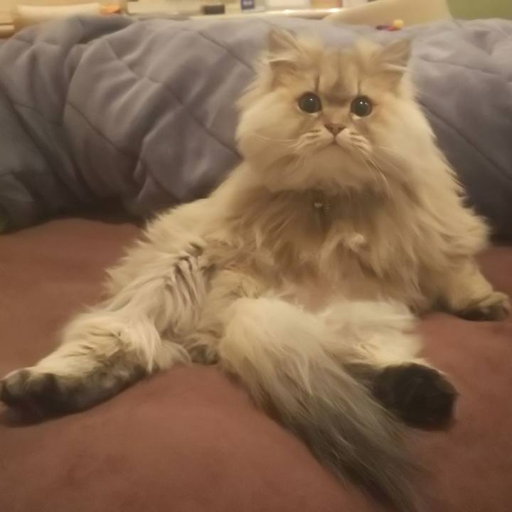 060549b5 47c0 45d3 9504 0bdf8cd200b2 1582976961036