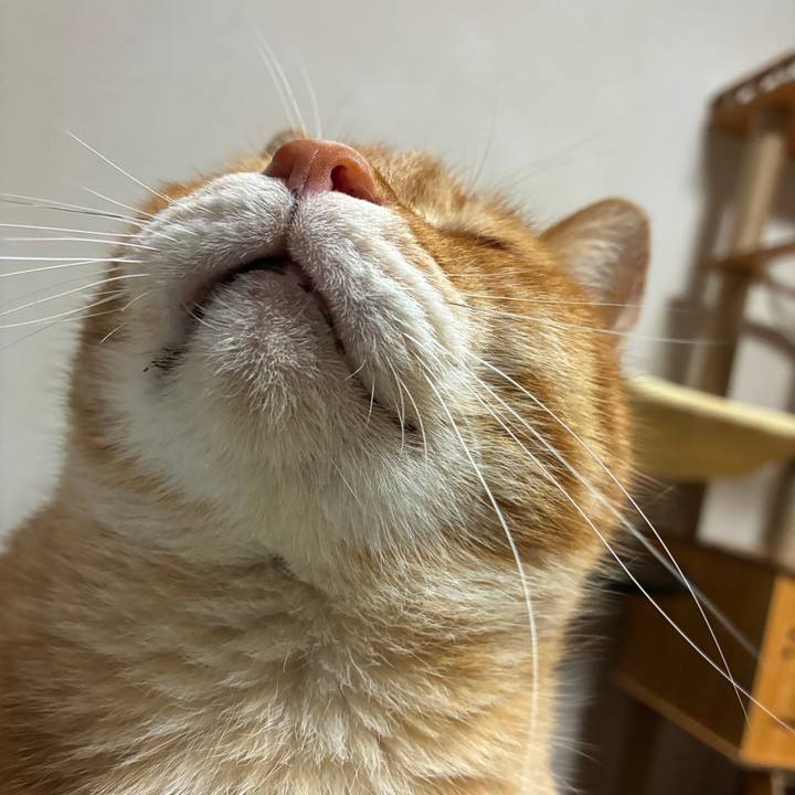 06055a84 db58 431b acd9 1acc9f229e8e 1743427478306