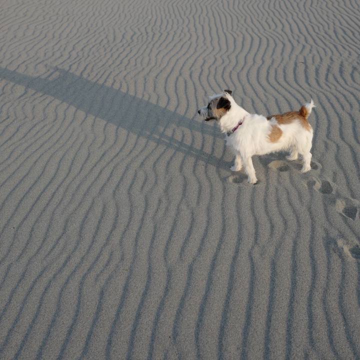 060568a1 05ab 4040 a261 1fe244409cf6 1526098231128