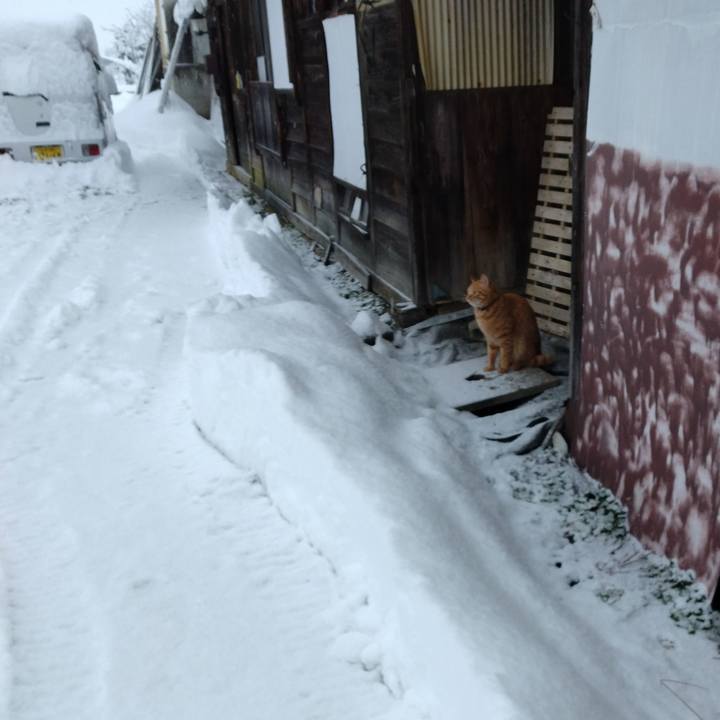 06058835 418b 49ee b2c8 5662c0b35db4 1671402917769