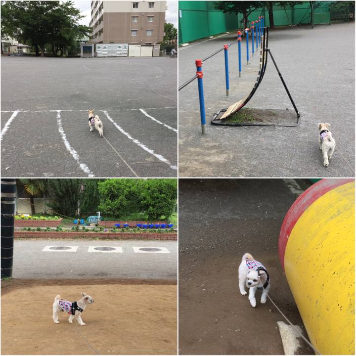 06058e76 e50b 4952 8d66 06893c51bd06 1529143369065