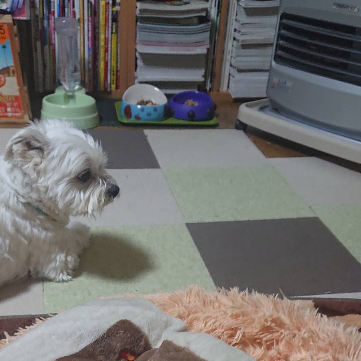 0605b52b b9d3 45ee a915 1e82e7d1652c 1643030109369