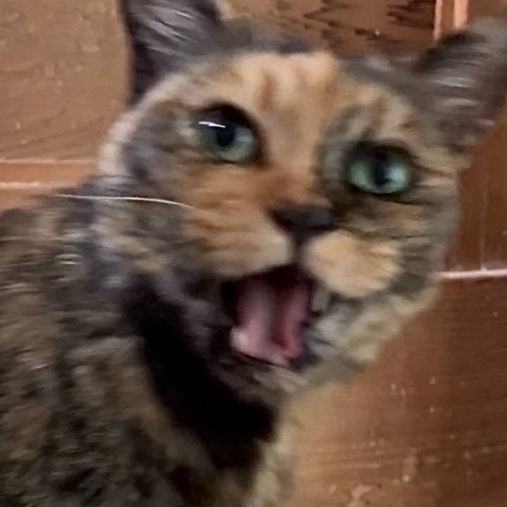 0605c9fb aba0 4c55 95c3 1d4dc7fd8efc 1750558204539