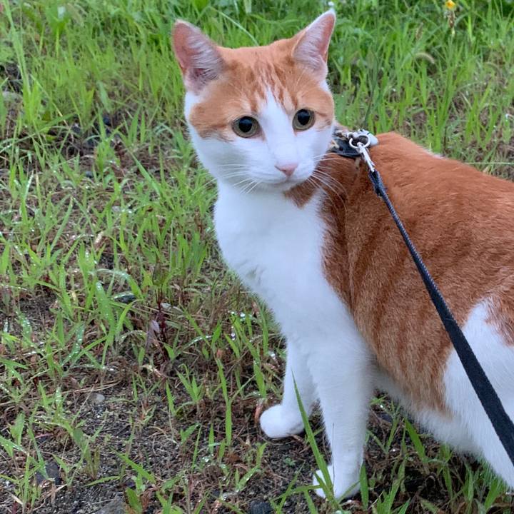 0605d23f 61e3 4878 8eef 6a8a47fd852a 1595936729829