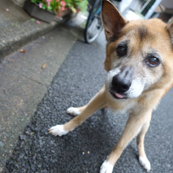 0605ec7b 3e70 4ce7 8d87 232a698858e1 1562626584102