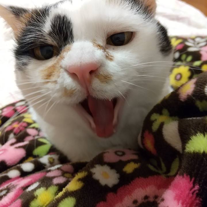 06060712 9782 4c48 8de9 6bc00d5a041a 1586184258093