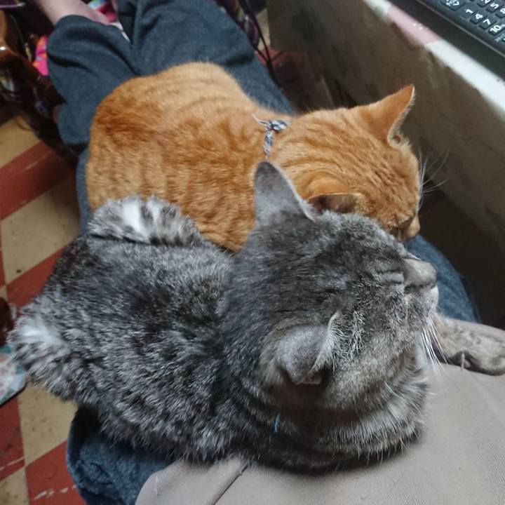 060607f5 8cd3 43ab bf56 c9d343a59a0d 1575539086719