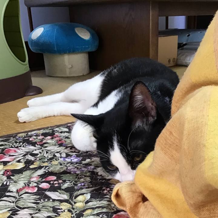 060610f8 0184 4655 9b53 8bb28f75fbe4 1640394229747