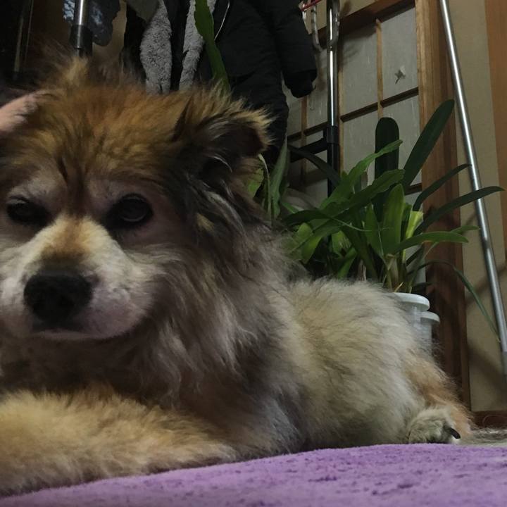 0606523c f76b 4242 b48f fbf1b24aefac 1589587770173