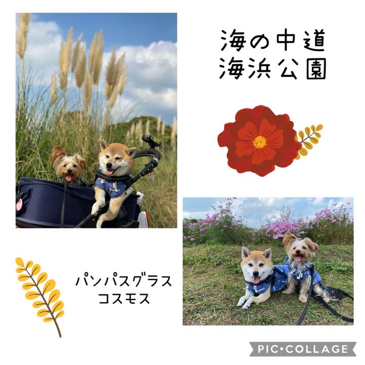 0606666a 3126 4e50 b548 b4956dbe6475 1635906199878