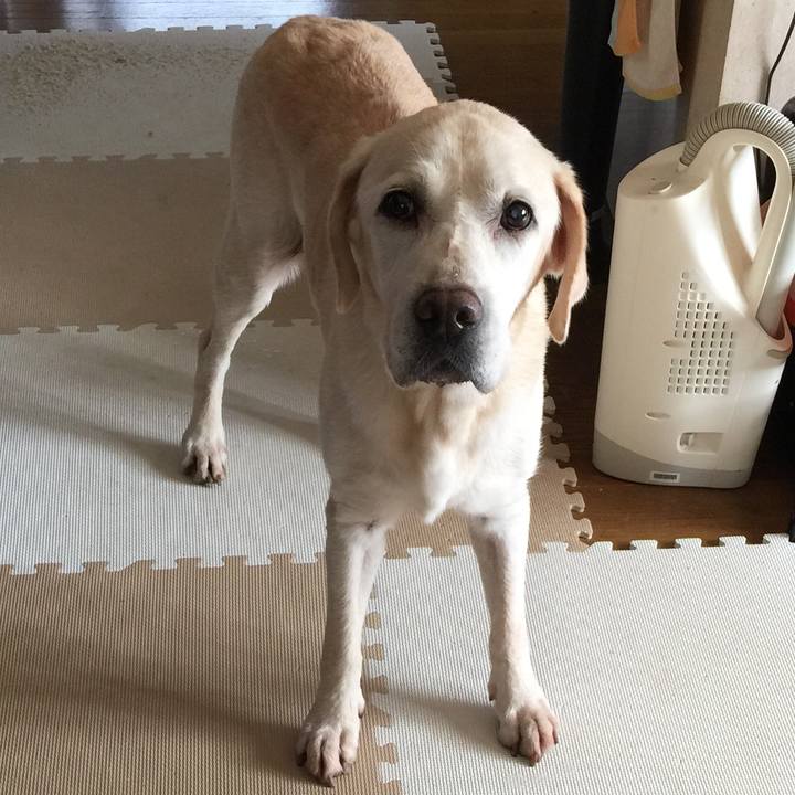 0606717d 6948 4543 964f 5b210656f179 1537232319272