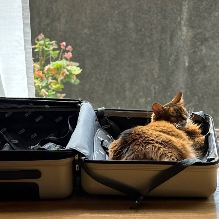 06067240 b02e 4f7a 9f98 906d6262b1d5 1758939058625