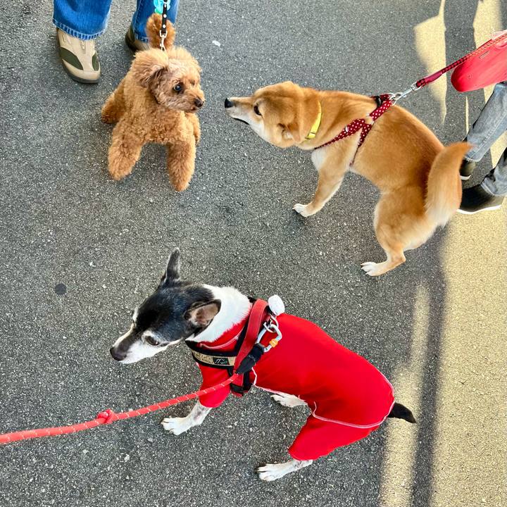 060689dd aab5 4f4a bd4b b8200c276a80 1654726555301