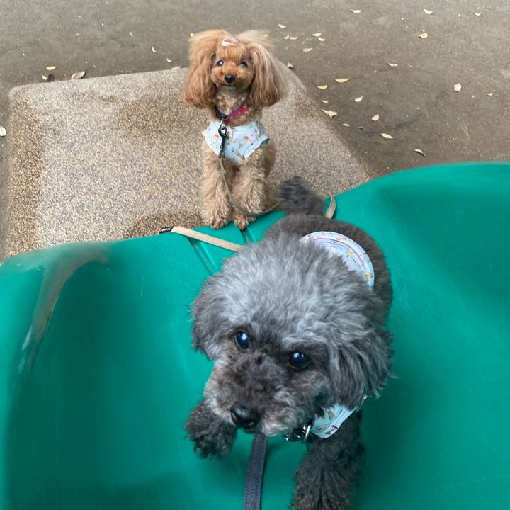 06068be2 5e8e 47a8 bfe1 7cf66b0dc329 1623367579436