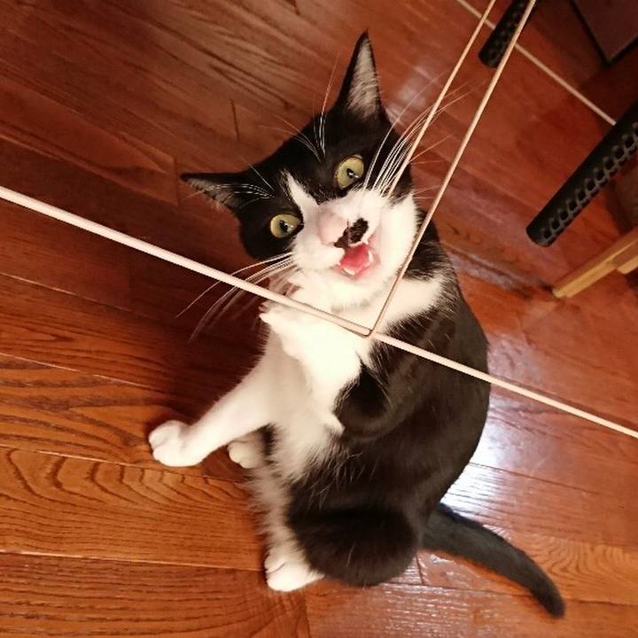 0606ed2f dee3 4cd4 b28a 36b4f2c0265d 1531449144367