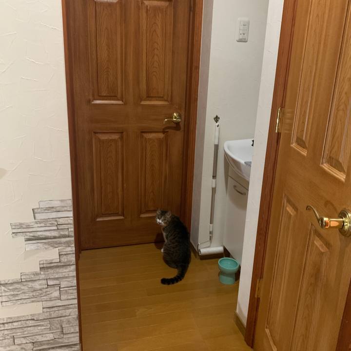 0606ef1f c7cd 4b28 ba3f 3a8b54944ce9 1656195342292