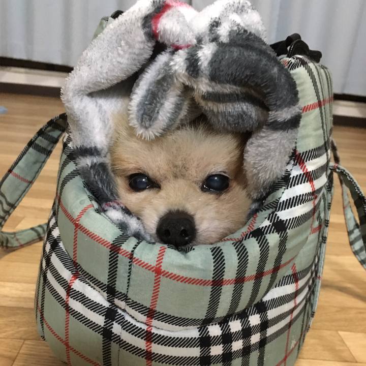 0606f09a d5f0 4083 ad11 47a4c32bac48 1547171014148