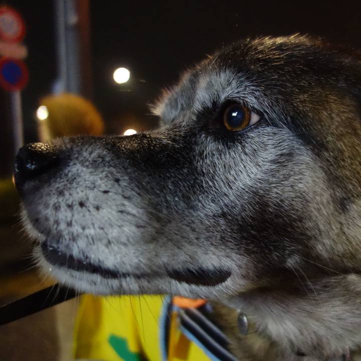 0606f156 e51c 4d15 8ac9 462bbbeeeb6b 1651453449477