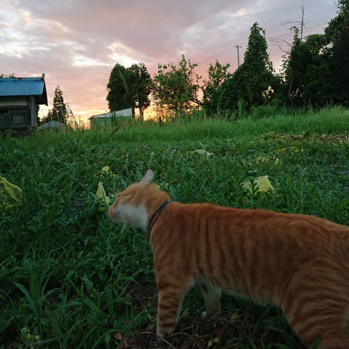 06070b8c 45d7 4d96 88eb a5f3a755cdac 1565776176949