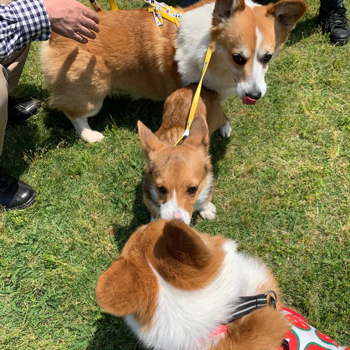 060752c8 44b7 4a25 8e19 730fecfd28a3 1557720723827