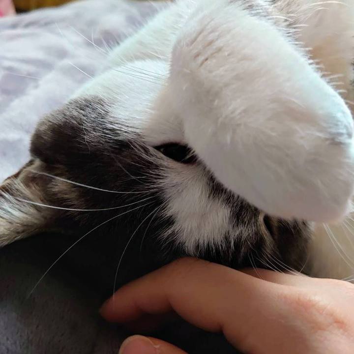 06079397 0615 4828 89a4 816e06e61b18 1733957052998