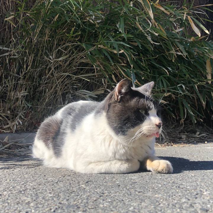 06079eae 5c02 4dca a73a fc826ac5755b 1644764922299