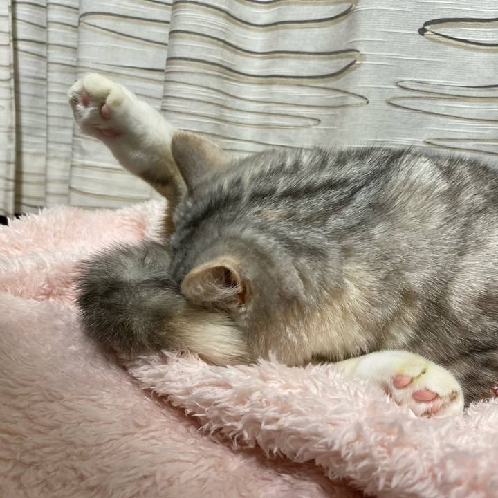 0607a10f 396f 45c1 aa3b 12eb8f079722 1738499712547